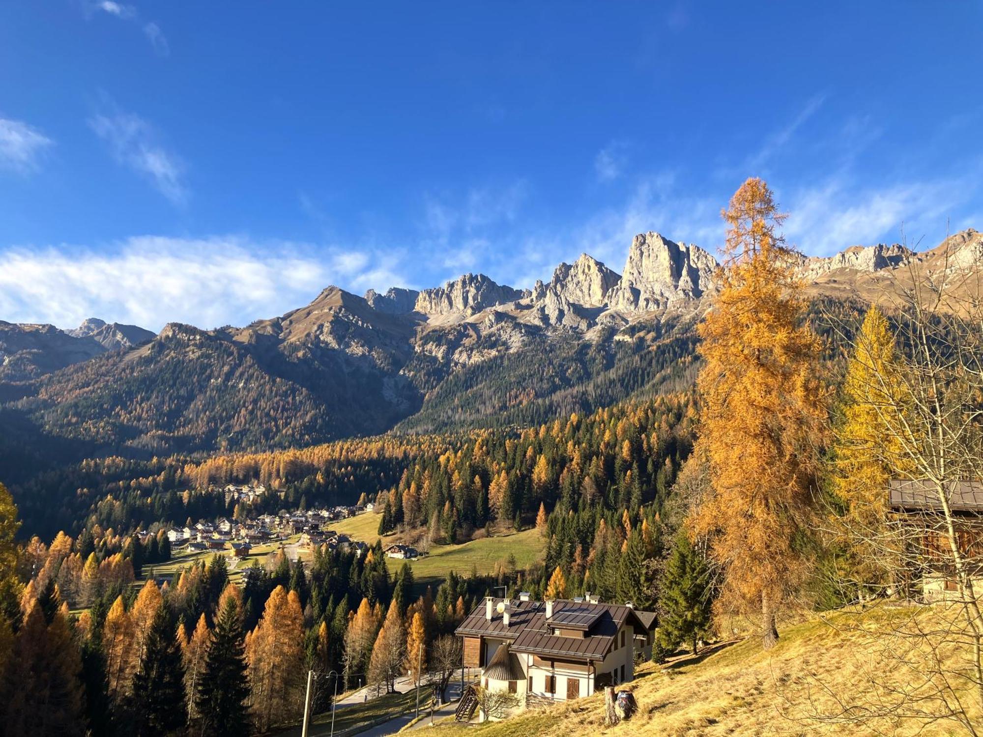 Appartamento Dolomiti Dream 1 ฟัลกาเด ภายนอก รูปภาพ
